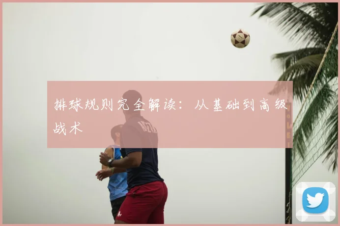 排球规则完全解读：从基础到高级战术